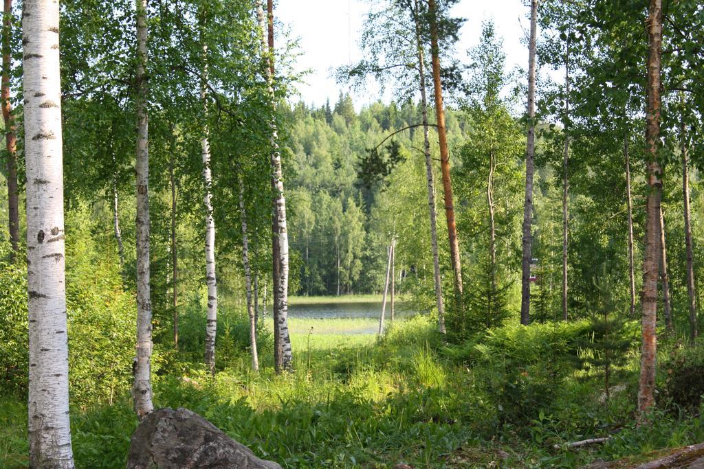 Вилла Ruhmaslehto Siikava Экстерьер фото